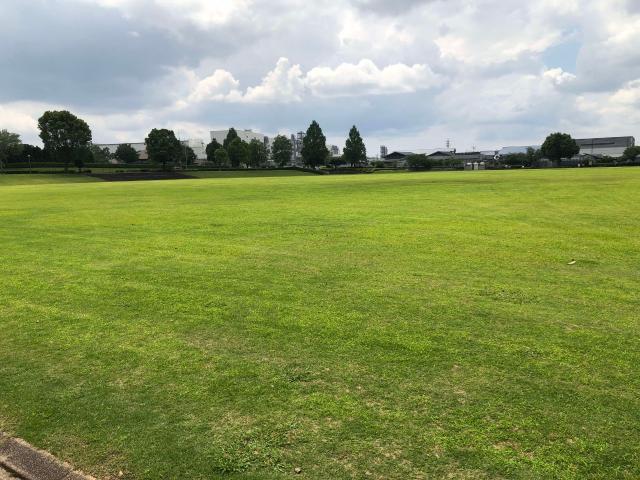 写真:菊陽杉並木公園 スポーツ広場